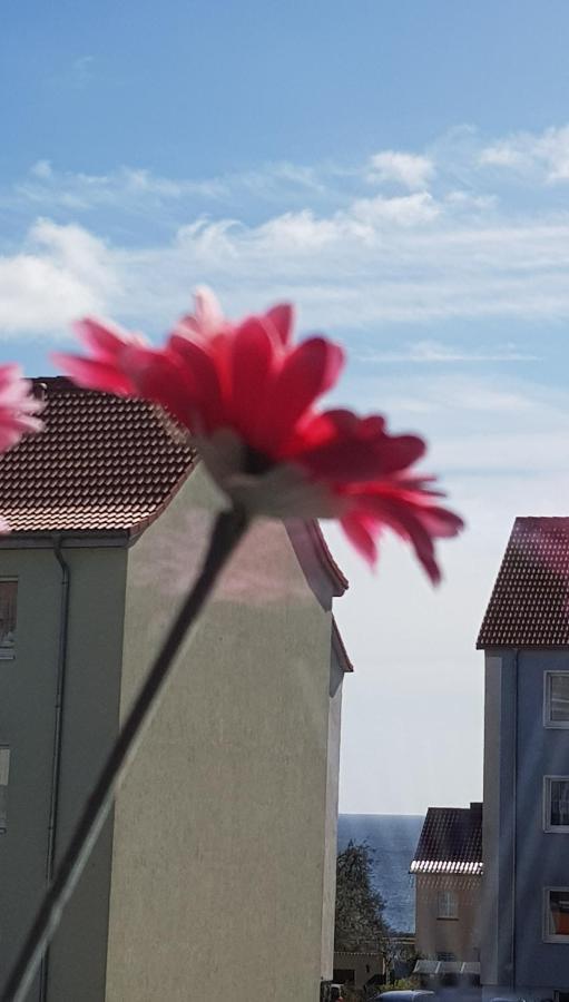 Apartment Deichkrone Sassnitz Exteriér fotografie